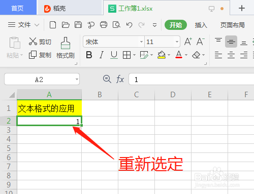 WPS2019 第十二课 电子表格的文本格式怎样应用