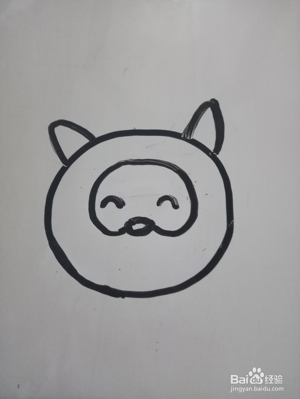 简笔画小浣熊