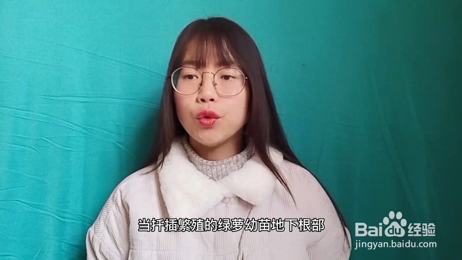 绿萝的养殖方法和注意事项