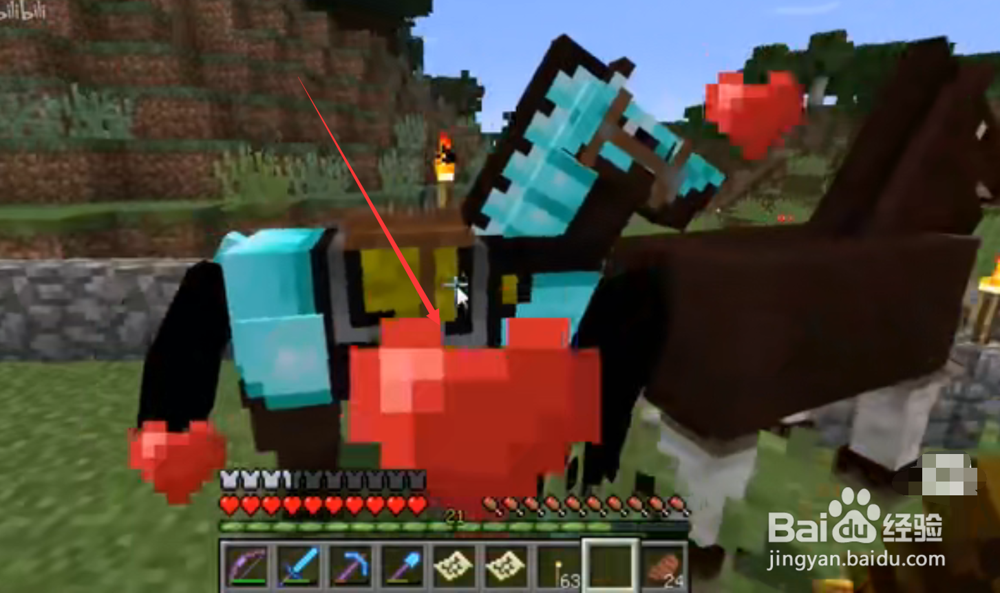 我的世界马吃什么才能繁殖