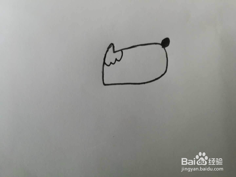 简笔画得意的小狗