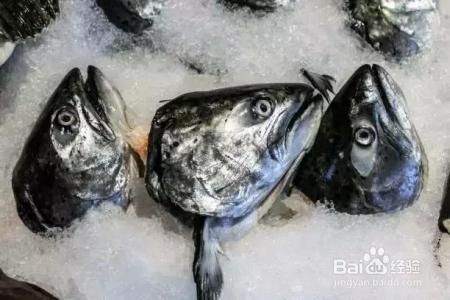 警惕！鱼的这个部位千万别乱吃，当心有剧毒