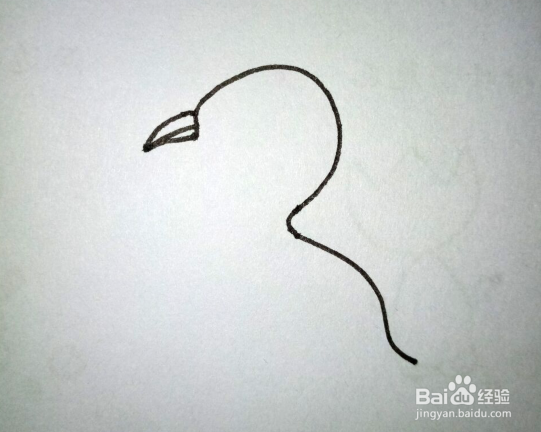 简笔画的鹭鸶怎么画