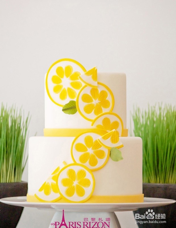 小清新甜品 巴黎柠檬柑橘礼颂蛋糕装饰DIY
