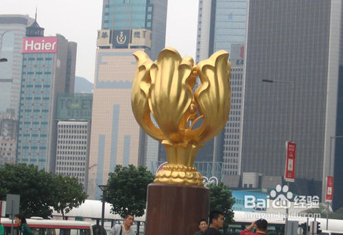 香港三日游攻略/香港美食购物三日游线路推荐