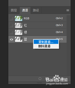 PS通道抠图杂乱的树叶