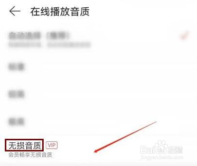 网易云音乐如何设置在线播放音质为无损音质