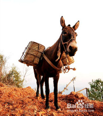 管理优秀的团队：[5]企业成功的秘诀