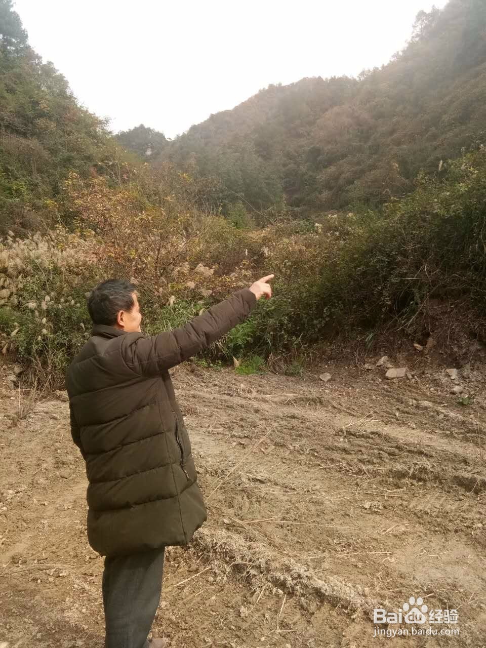 田云青老师旅游景观册编辑方法