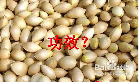 白果的功效与作用及食用方法