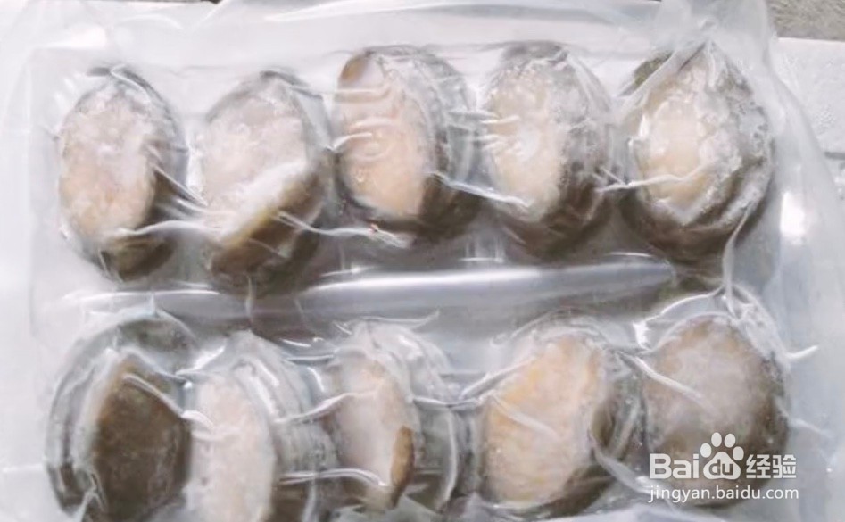 鲍鱼买回家怎么放置才不会死掉