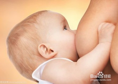 准妈妈怎样进行成功的母乳喂养