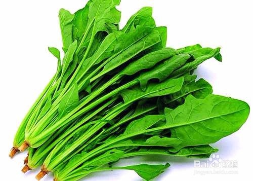 一直脱发怎么办