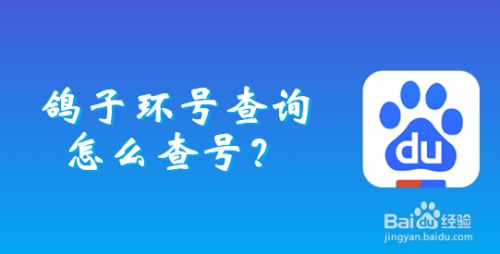 系统 百度浏览器 方法/步骤 2 然后在搜索结果中点击打开【搜鸽天下】