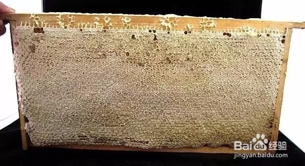 吃蜂蜜为什么要选择成熟蜂蜜