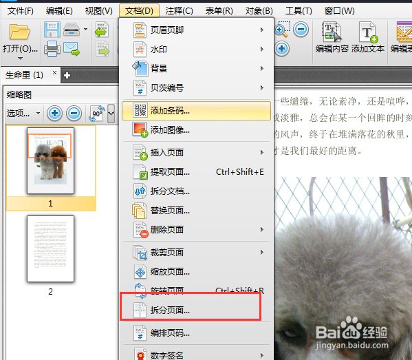 怎么拆分PDF页面,PDF拆分页面的方法
