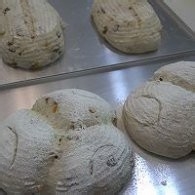 不点外卖122--燕麦核桃干果软欧包