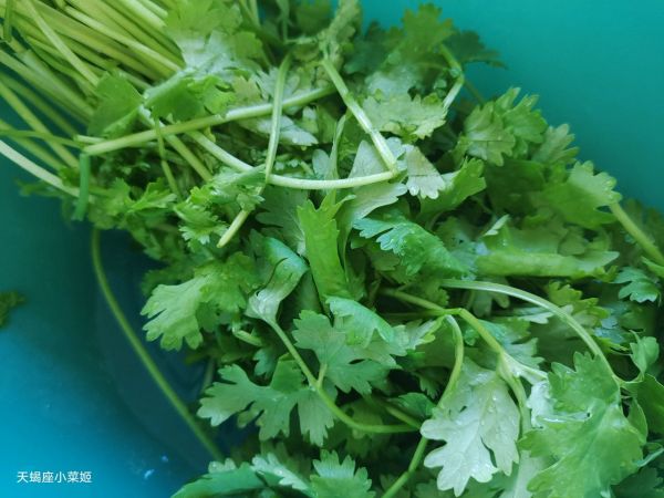 烧烤豆皮蔬菜卷