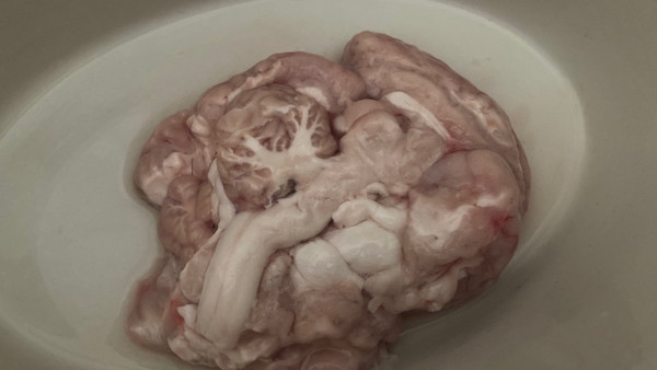 天麻炖猪脑【汤】