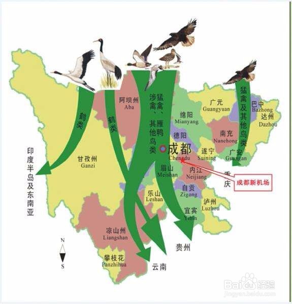 迁徙之后怎样生活