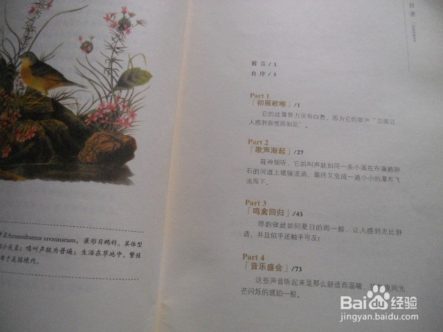 怎样培养阅读习惯