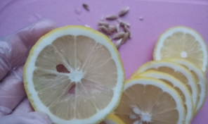 冰糖柠檬膏的做法