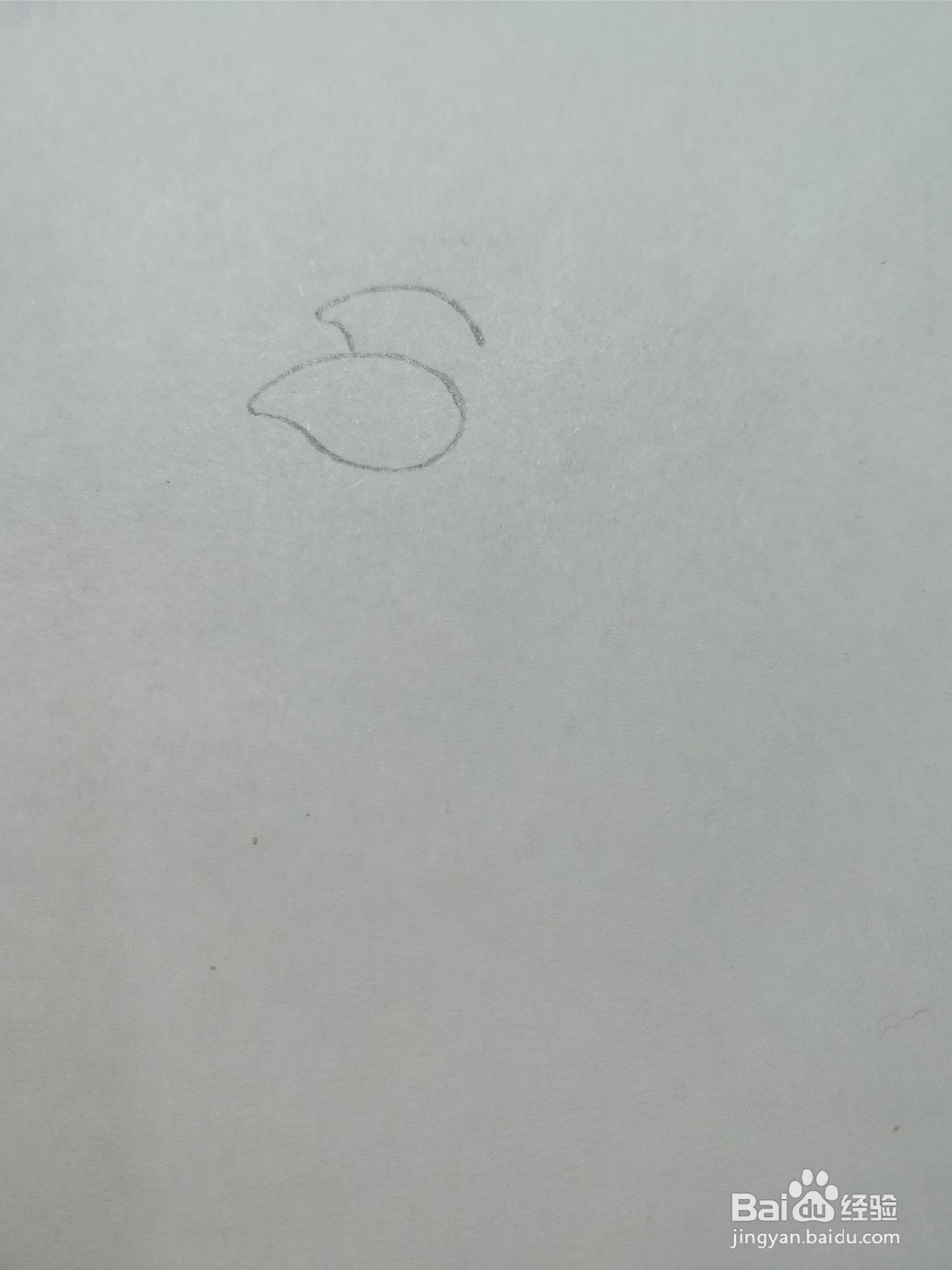 简笔画画卡通维尼熊的朋友——小猪