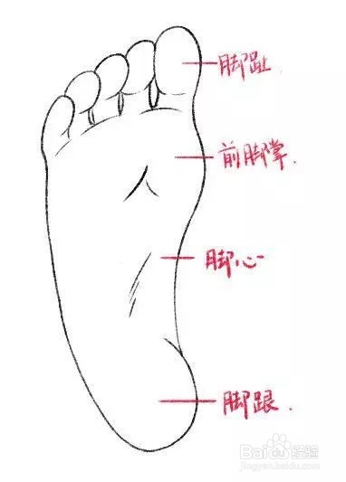 动漫人物的脚怎么画