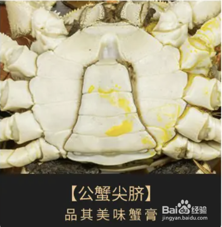 怎么轻松辨别螃蟹公母?以及如何清蒸大闸蟹