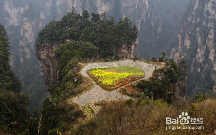 新乡到张家界自驾游