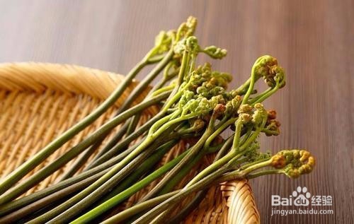 春天适合吃哪些蔬菜好呢
