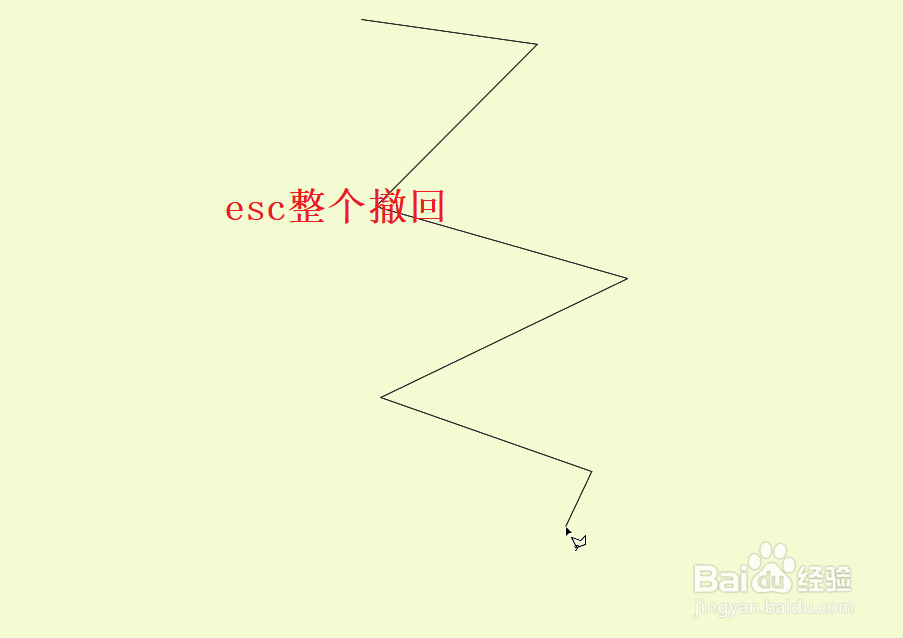 PS2021怎么逐点或者整个撤回套索创建的选区