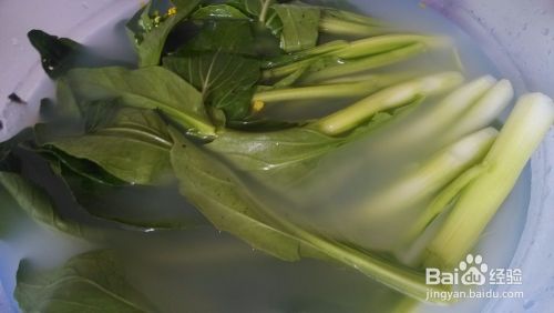 耗油清炒菜心，青菜必备！