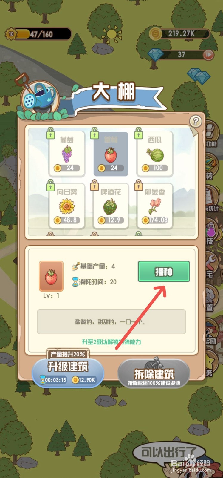 花语农场怎么大棚里播种草莓