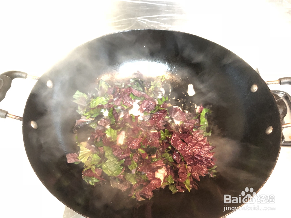 在家也能做的紫苏豆芽