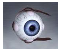 看得清视力训练仪说明书