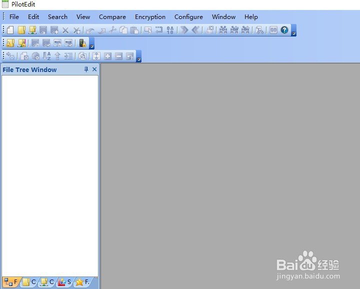 如何使用PilotEdit工具进行加密文件