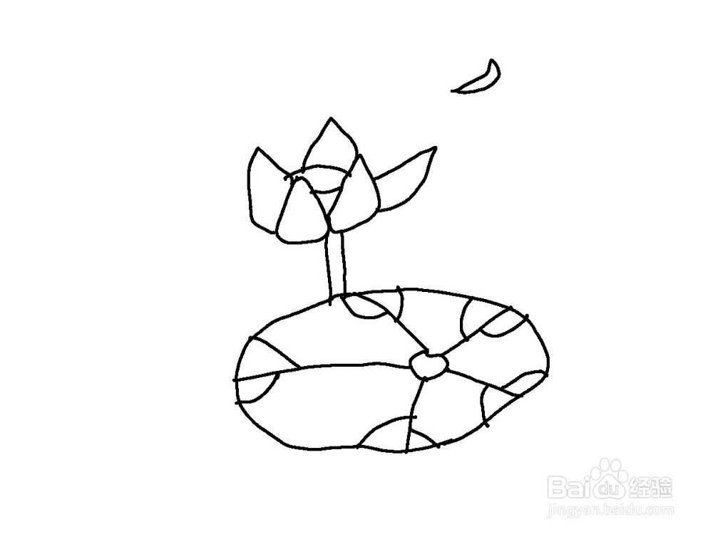 美术 简笔画荷花