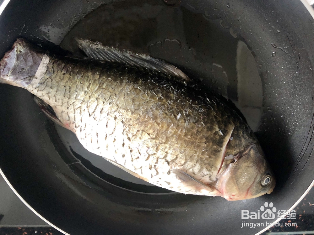 怎么做啤酒鱼？