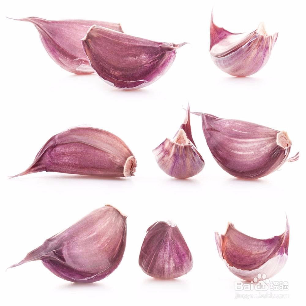 家庭种植--盆栽大蒜