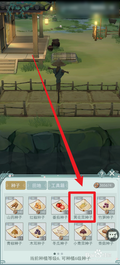 江湖悠悠怎么种植黄花菜