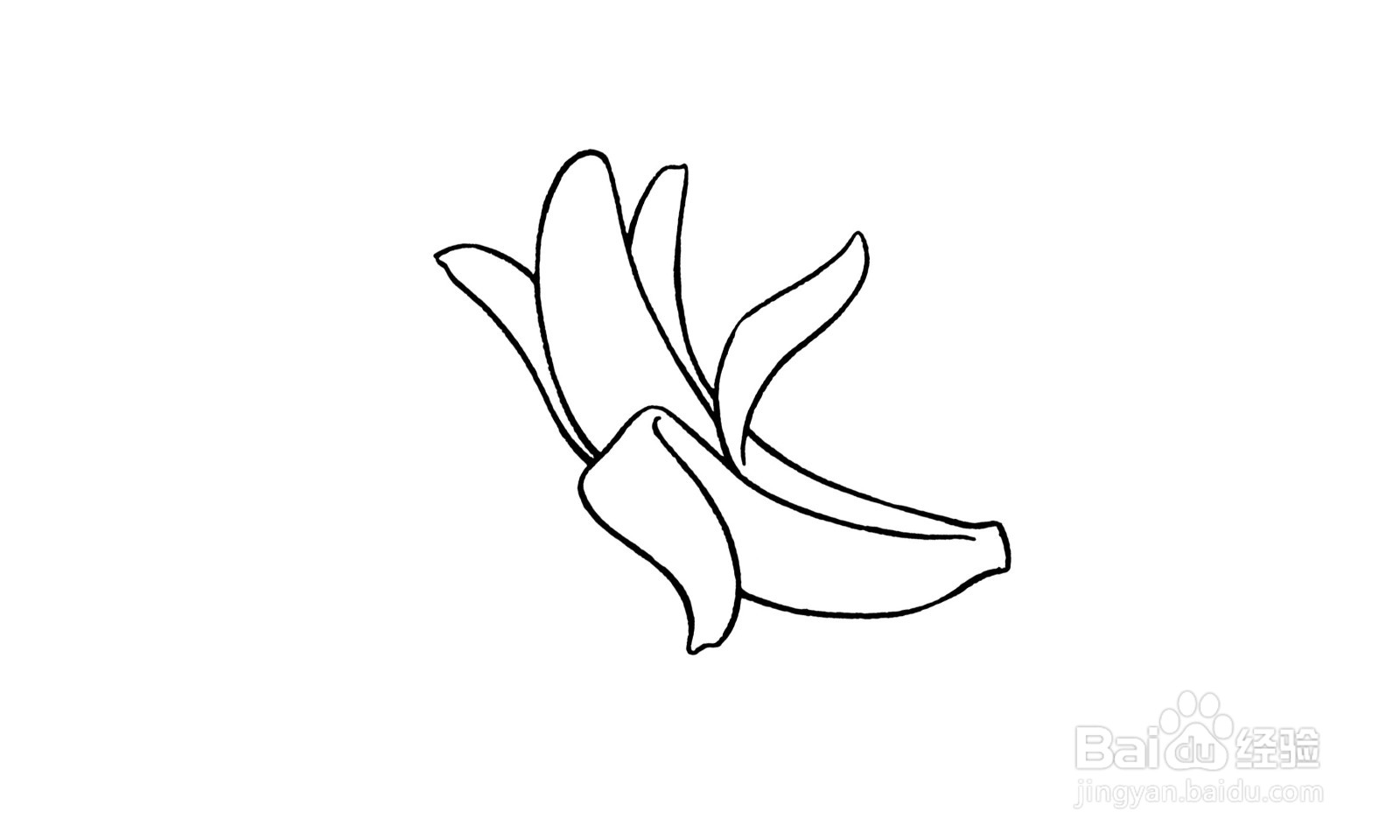 简笔画剥开的香蕉怎么画
