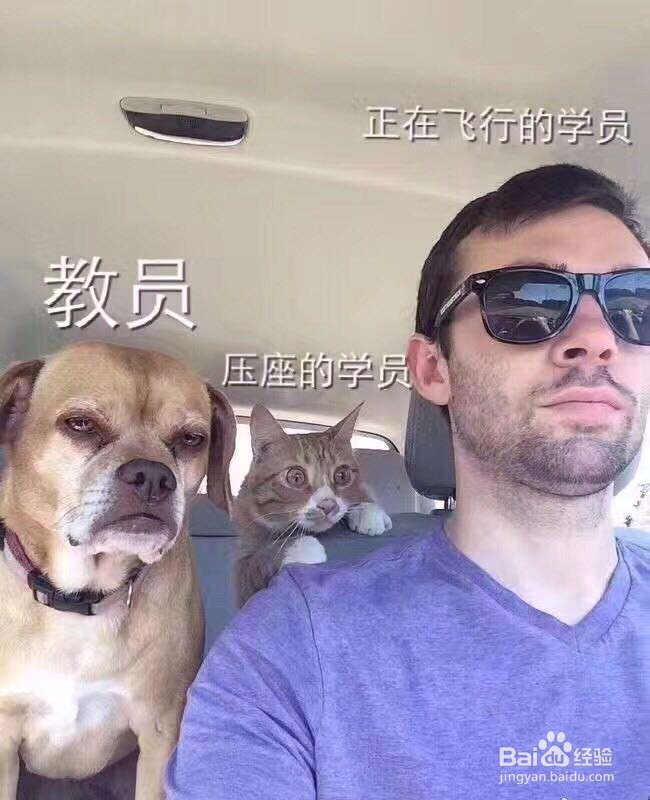 如何从零开始成为飞行员