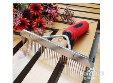 如何选择宠物梳子