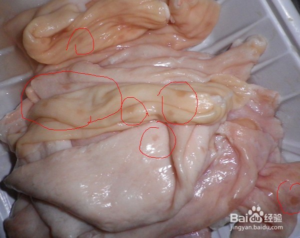 如何快速清洗猪大肠
