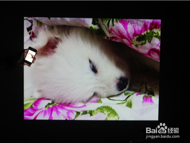 玩转小米手机微型投影机伴侣