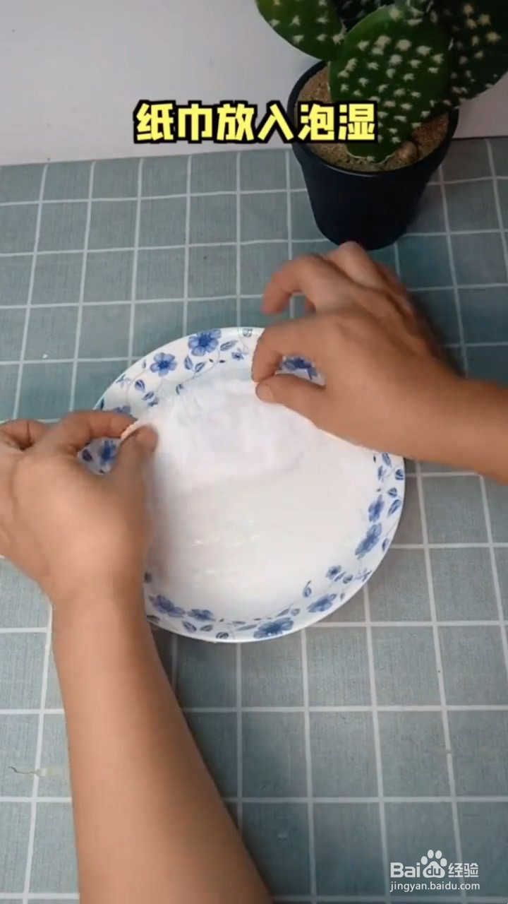 如何自制肥皂纸