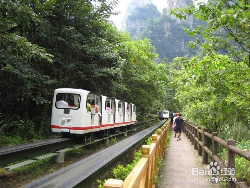 郑州到张家界自助游攻略指南