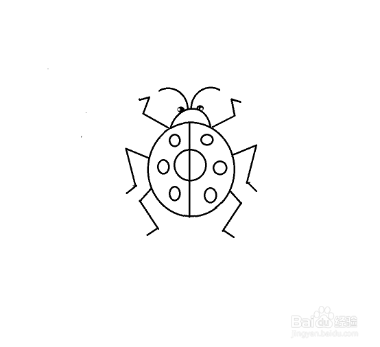 瓢虫的简笔画