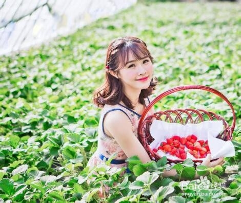 草莓的销售新方法